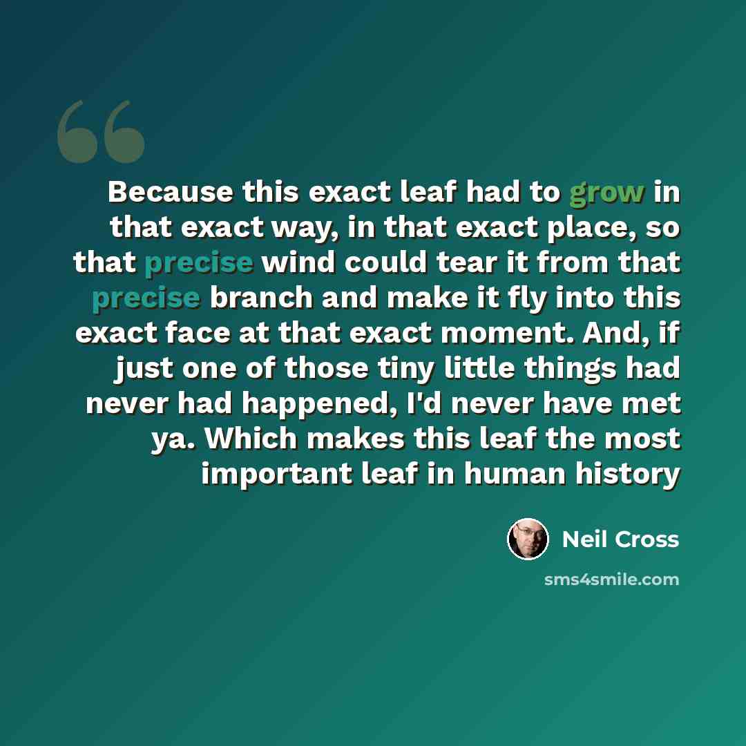 “Because this exact leaf had to grow in that exact way, in that exact place, so that precise wind could tear it from that precise branch and make it fly into this exact face at that exact moment. And, if just one of those tiny little things had never had happened, I'd never have met ya. Which makes…” quote by Neil Cross