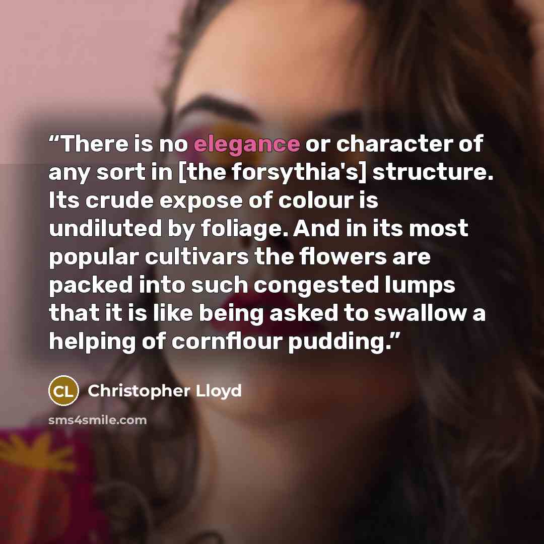 “There is no elegance or character of any sort in [the forsythia's] structure. Its crude expose of colour is undiluted by foliage. And in its most popular cultivars the flowers are packed into such congested lumps that it is like being asked to swallow a helping of cornflour pudding.” quote by Christopher Lloyd