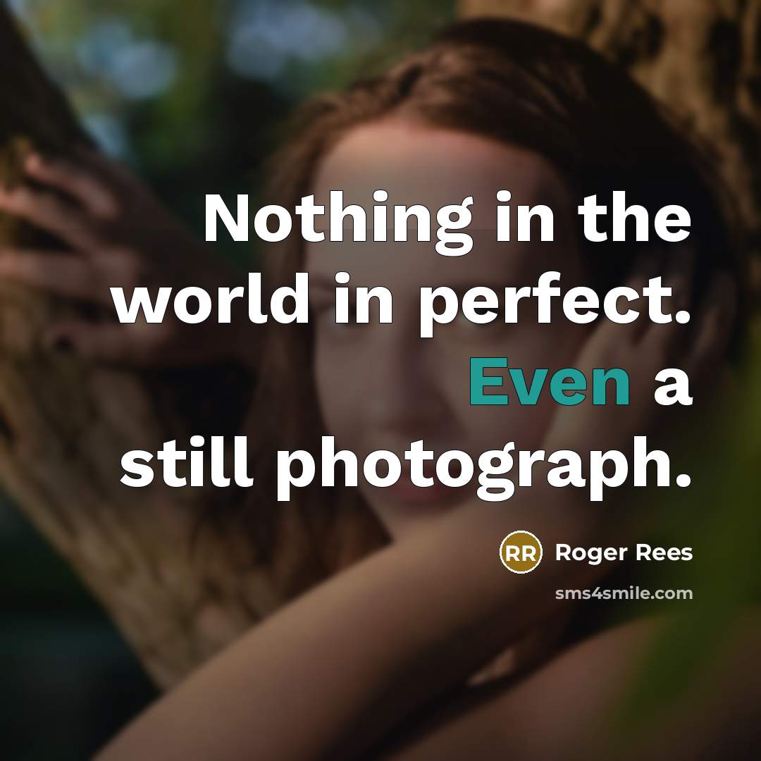 “Nothing in the world in perfect. Even a still photograph.” quote by Roger Rees