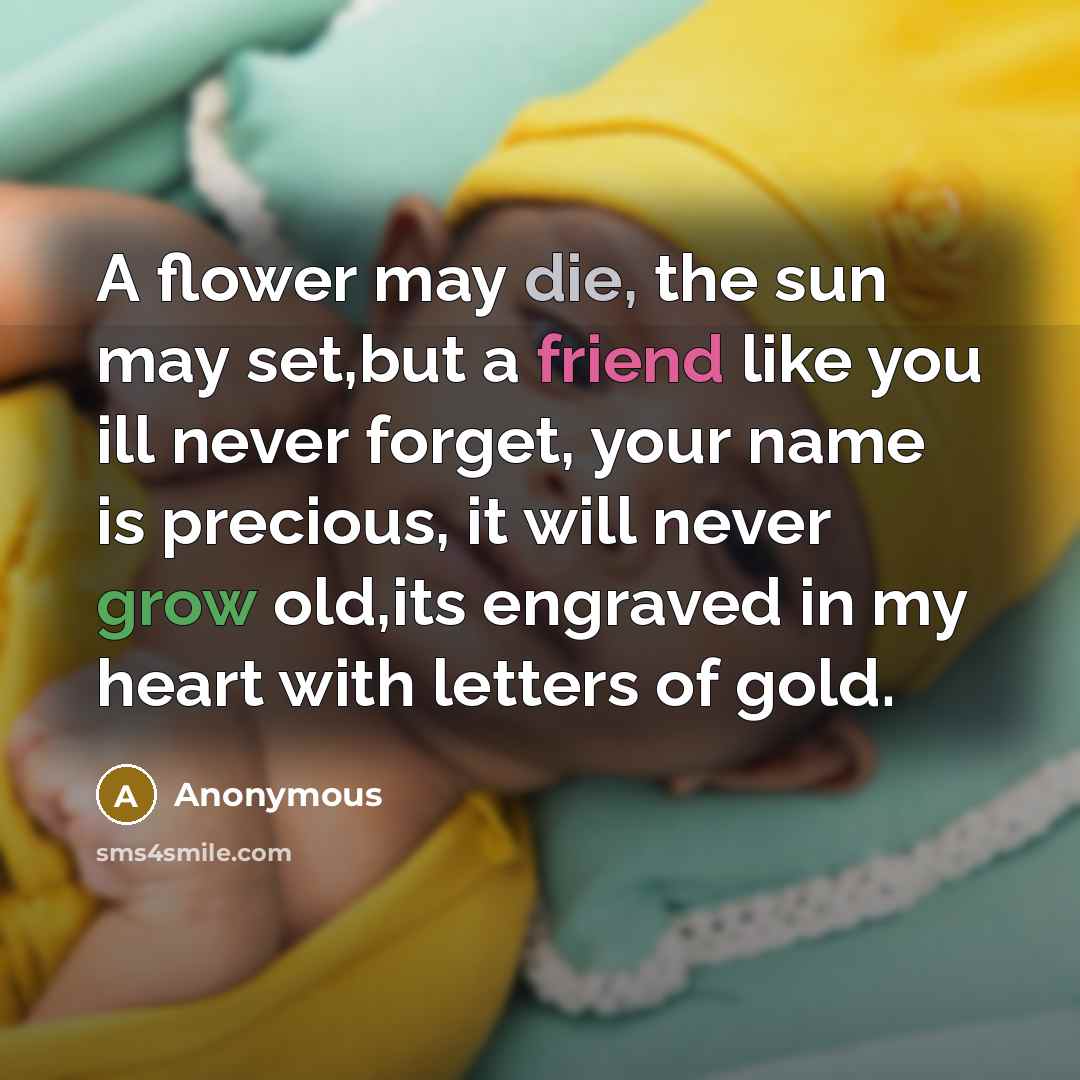 “A flower may die, the sun may set,but a friend like you ill never forget, your name is precious, it will never grow old,its engraved in my heart with letters of gold.” quote by Anonymous