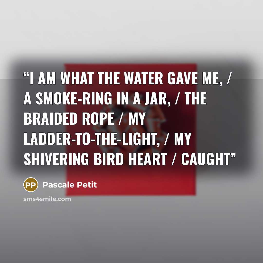 “I am what the water gave me, / a smoke-ring in a jar, / the braided rope / my ladder-to-the-light, / my shivering bird heart / caught” quote by Pascale Petit