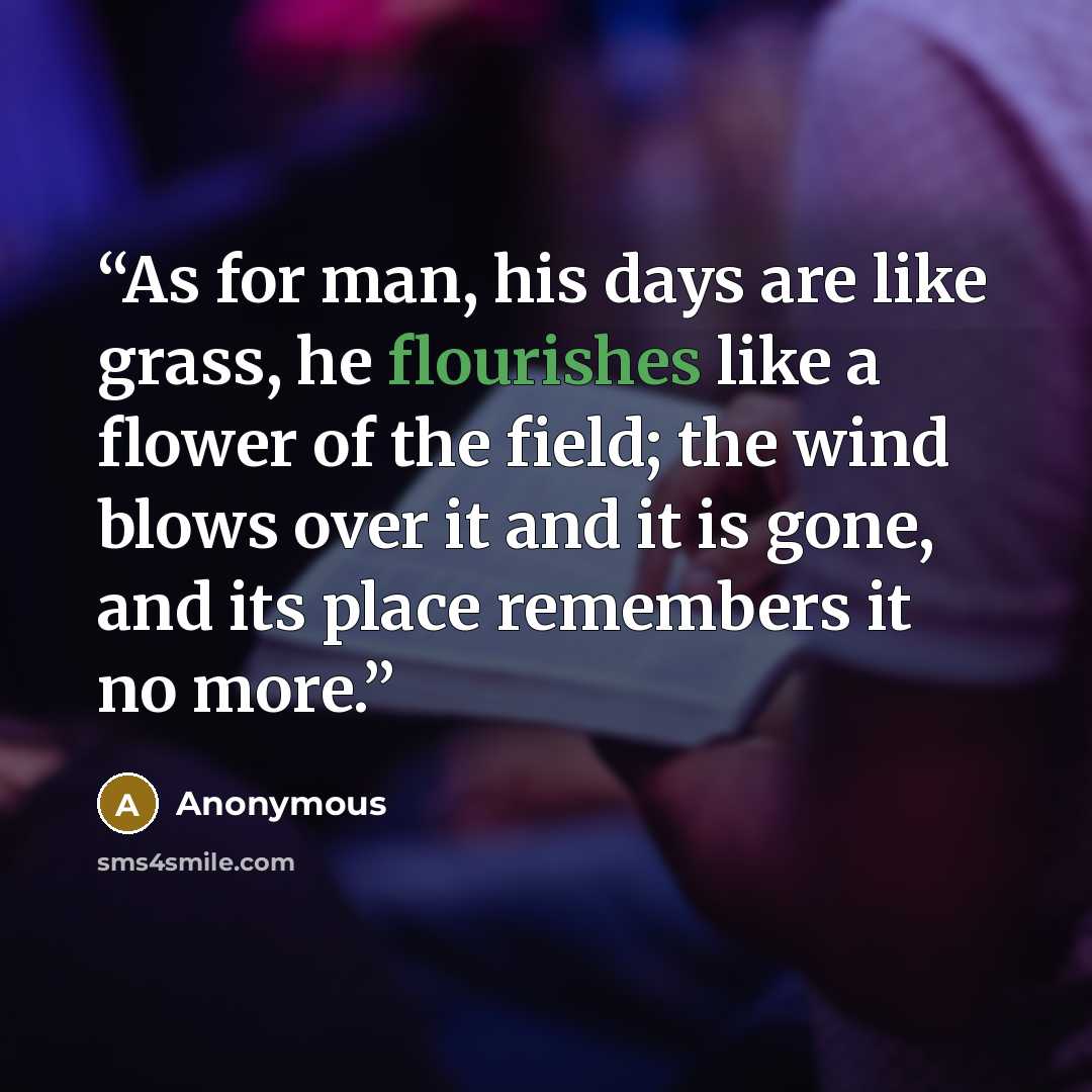 “As for man, his days are like grass, he flourishes like a flower of the field; the wind blows over it and it is gone, and its place remembers it no more.” quote by Anonymous