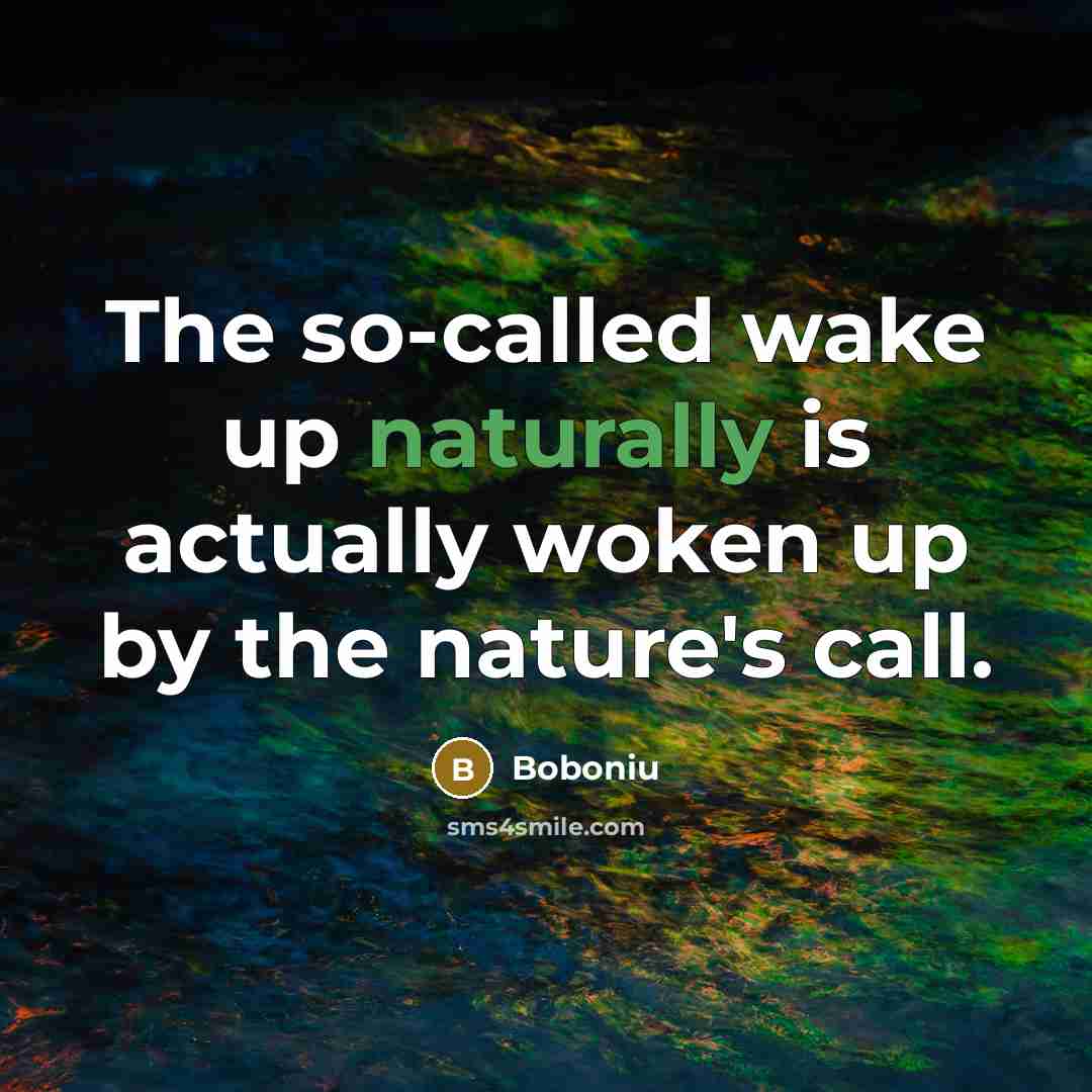 “The so-called wake up naturally is actually woken up by the nature's call.” quote by Boboniu