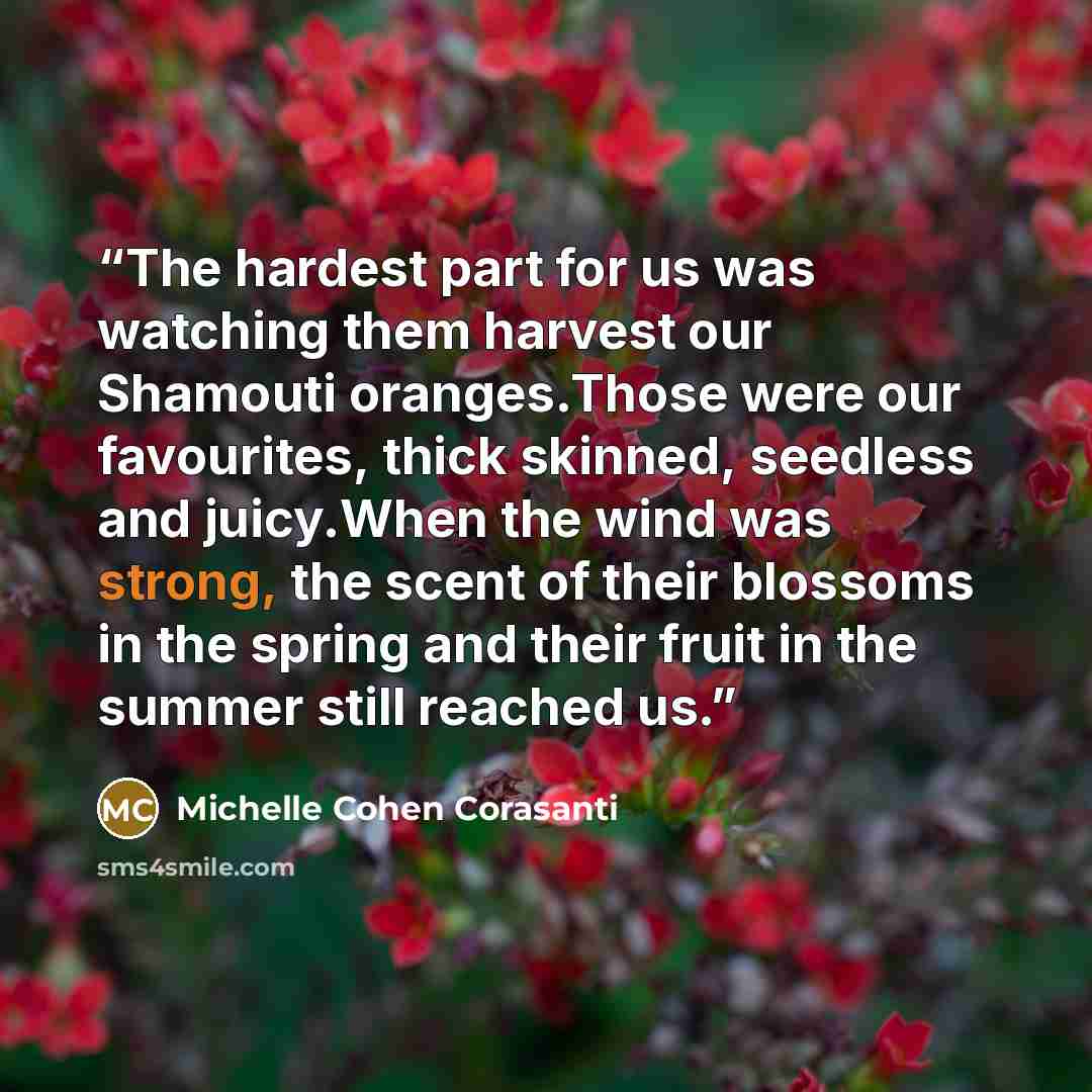 “The hardest part for us was watching them harvest our Shamouti oranges.Those were our favourites, thick skinned, seedless and juicy.When the wind was strong, the scent of their blossoms in the spring and their fruit in the summer still reached us.” quote by Michelle Cohen Corasanti