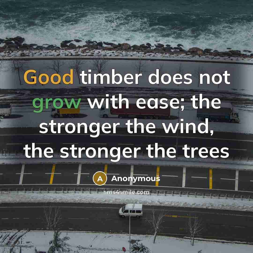 “Good timber does not grow with ease; the stronger the wind, the stronger the trees” quote by Anonymous