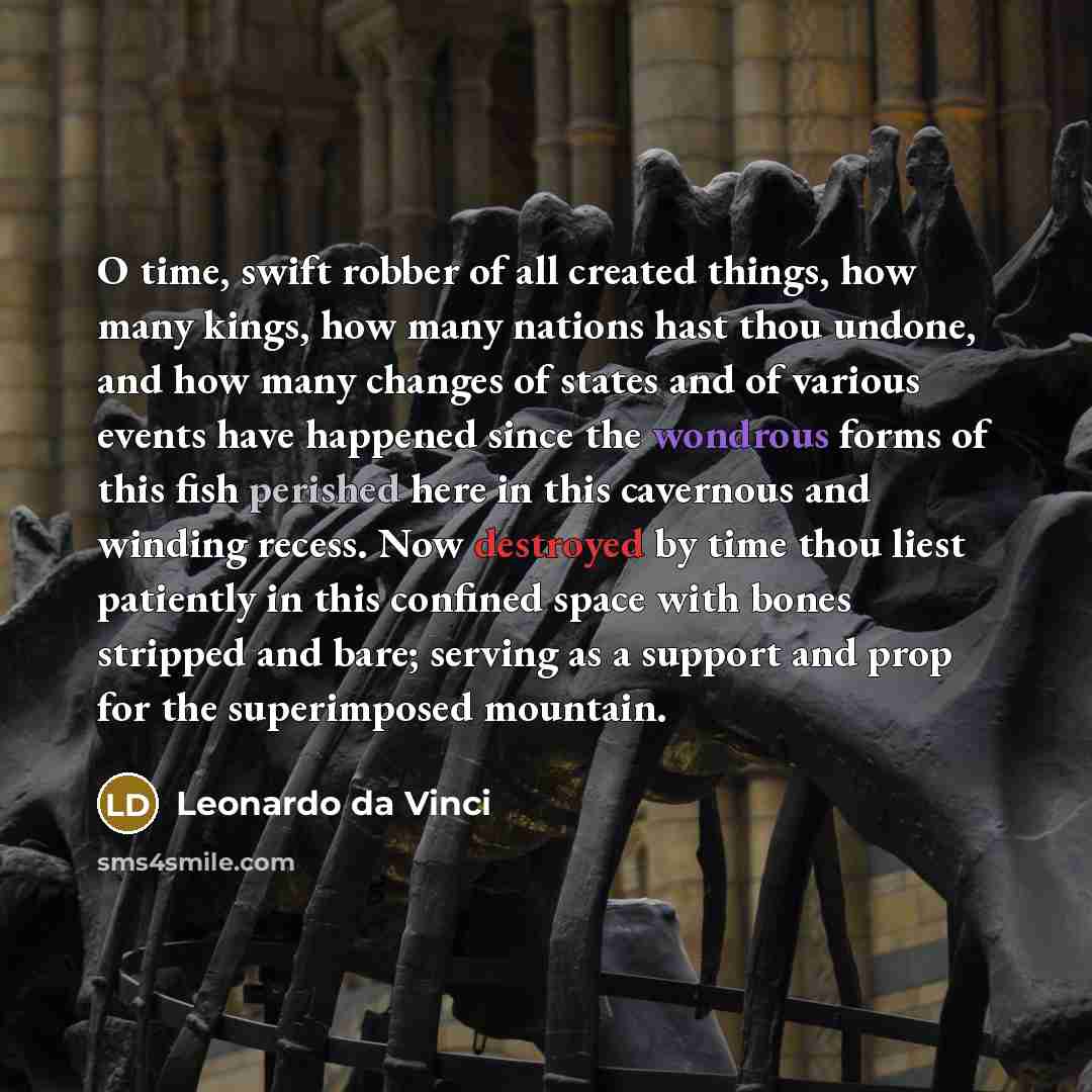 “O time, swift robber of all created things, how many kings, how many nations hast thou undone, and how many changes of states and of various events have happened since the wondrous forms of this fish perished here in this cavernous and winding recess. Now destroyed by time thou liest patiently in…” quote by Leonardo da Vinci