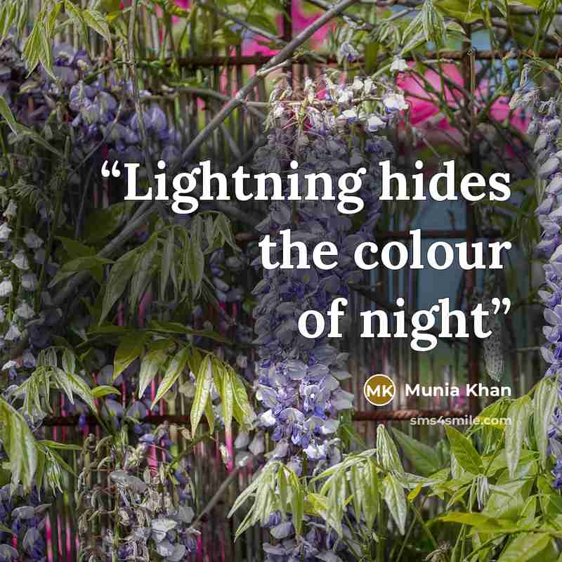 “Lightning hides the colour of night” quote by Munia Khan