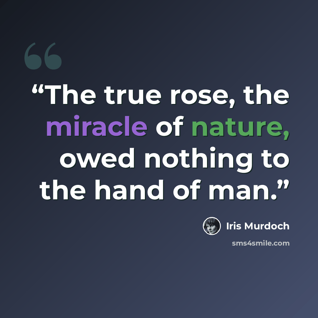 “The true rose, the miracle of nature, owed nothing to the hand of man.” quote by Iris Murdoch
