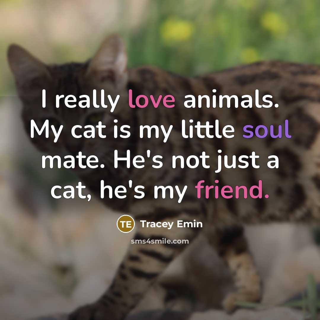 “I really love animals. My cat is my little soul mate. He's not just a cat, he's my friend.” quote by Tracey Emin