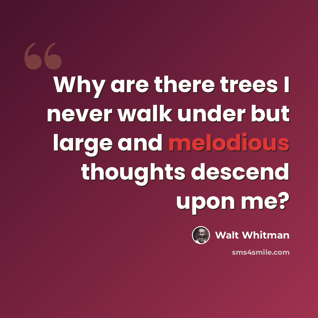 “Why are there trees I never walk under but large and melodious thoughts descend upon me?” quote by Walt Whitman