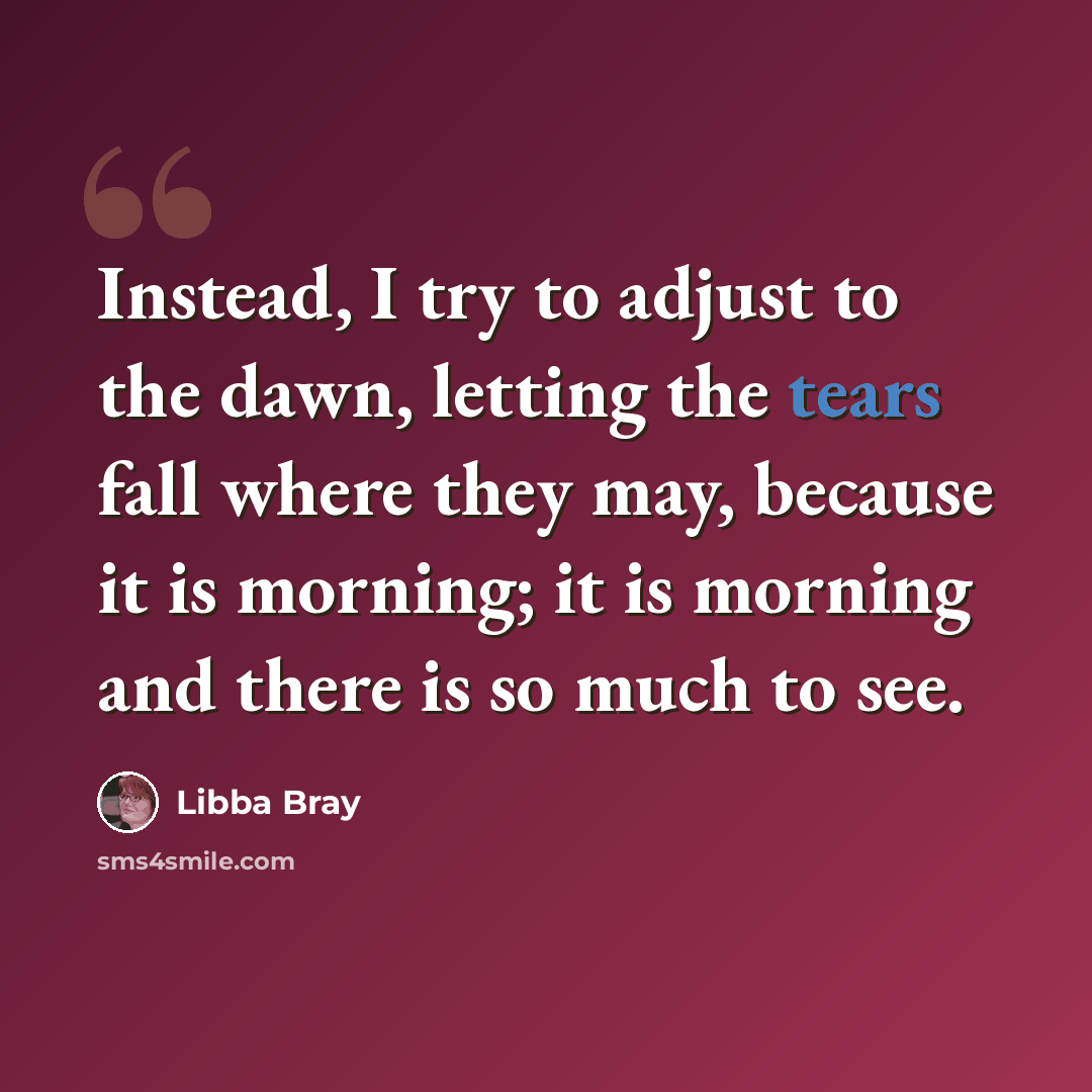 “Instead, I try to adjust to the dawn, letting the tears fall where they may, because it is morning; it is morning and there is so much to see.” quote by Libba Bray