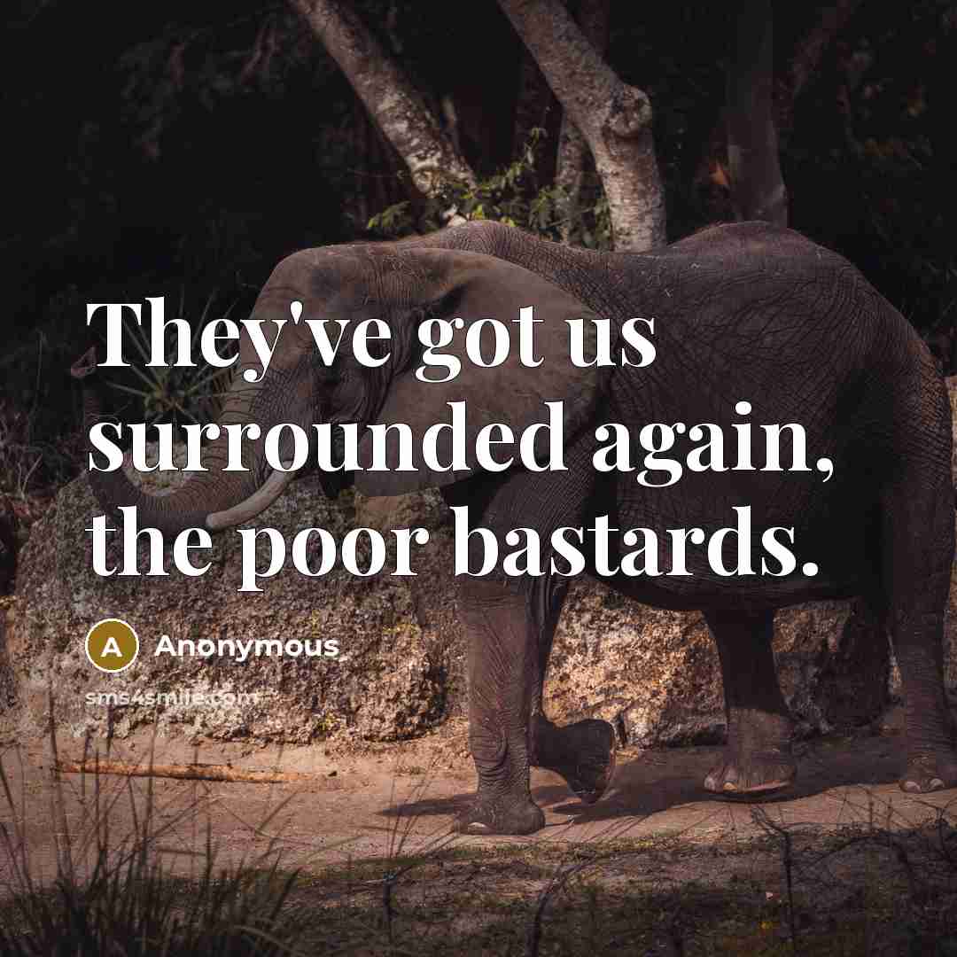 “They've got us surrounded again, the poor bastards.” quote by Anonymous
