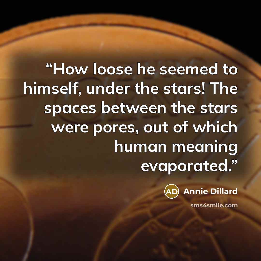 “How loose he seemed to himself, under the stars! The spaces between the stars were pores, out of which human meaning evaporated.” quote by Annie Dillard