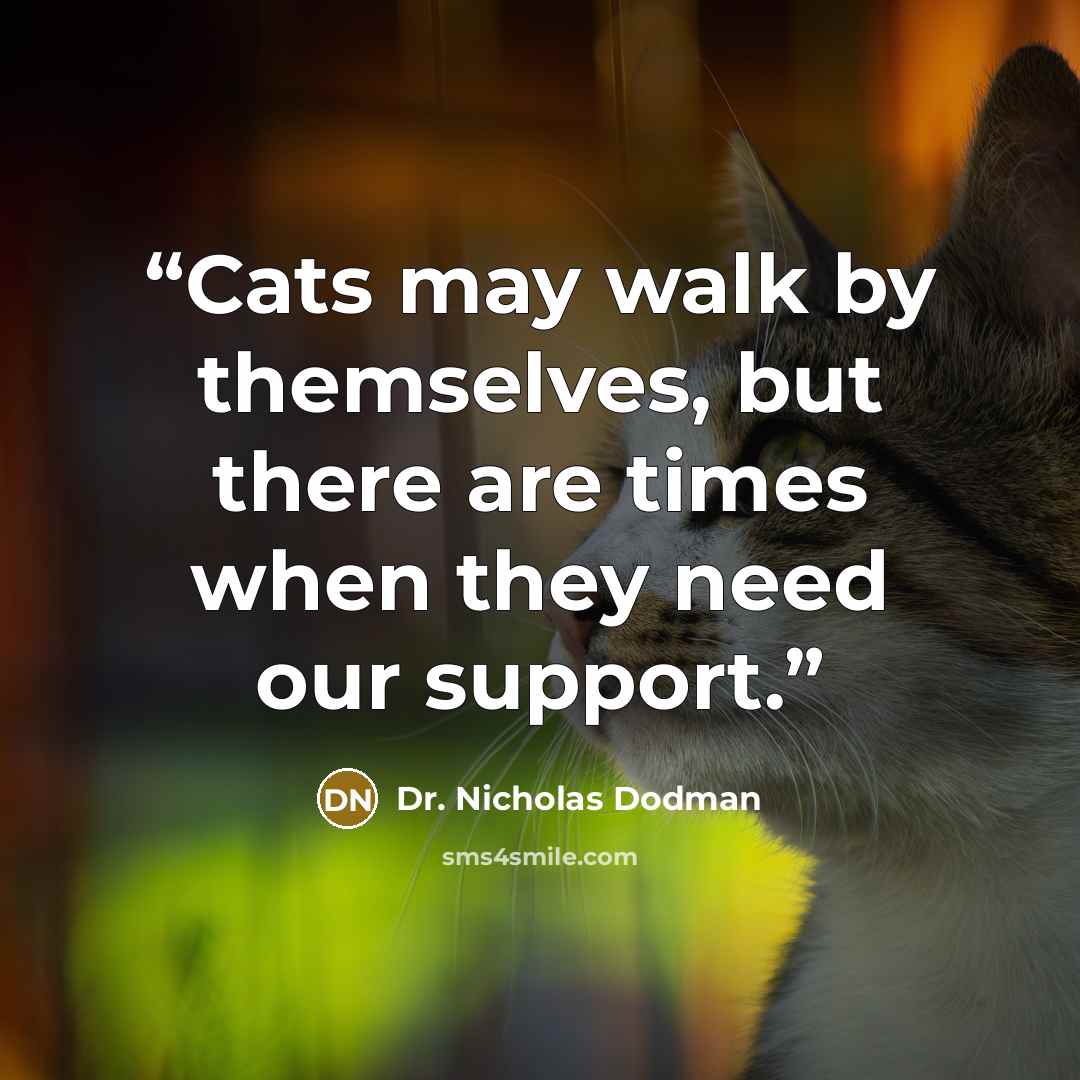 “Cats may walk by themselves, but there are times when they need our support.” quote by Dr. Nicholas Dodman