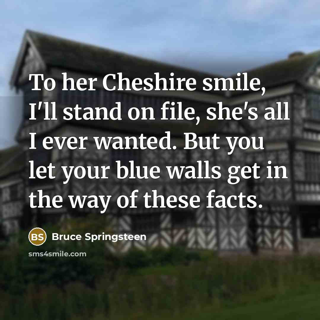 “To her Cheshire smile, I'll stand on file, she's all I ever wanted. But you let your blue walls get in the way of these facts.” quote by Bruce Springsteen