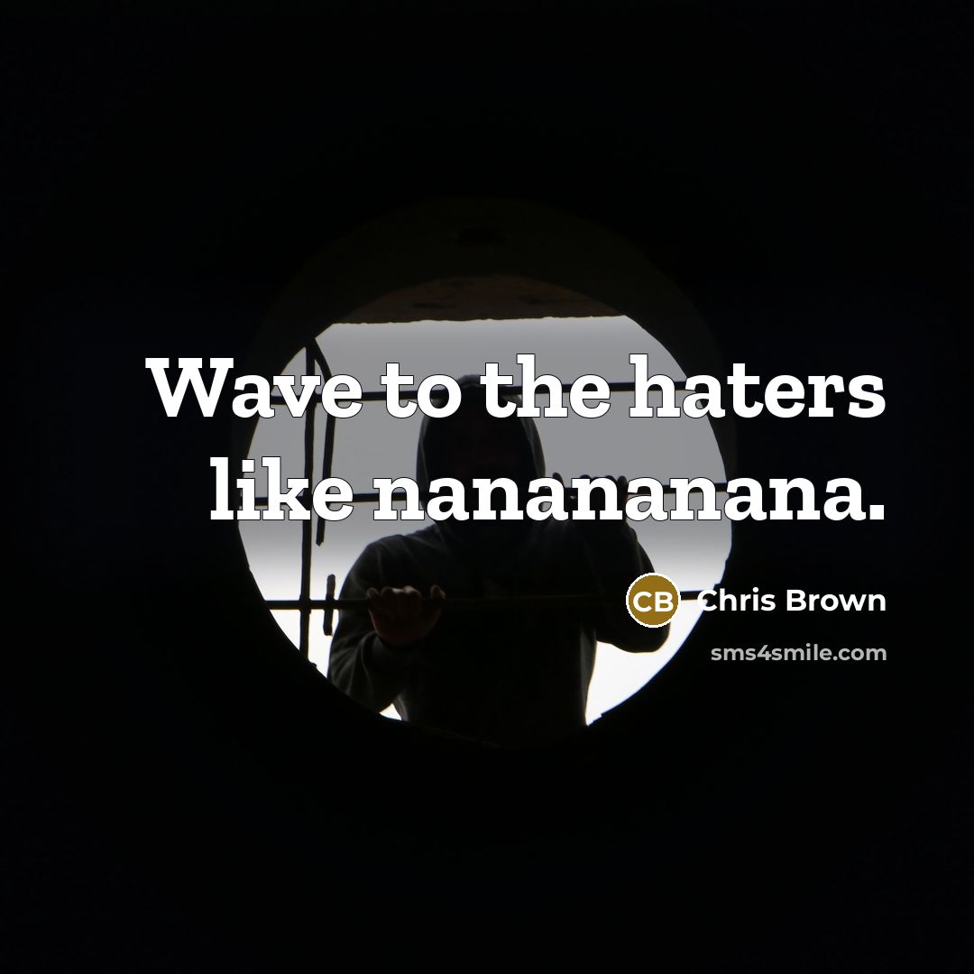 “Wave to the haters like nanananana.” quote by Chris Brown
