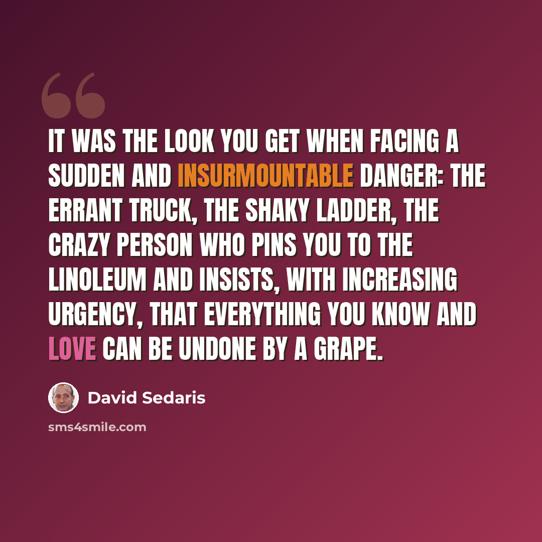 “It was the look you get when facing a sudden and insurmountable danger: the errant truck, the shaky ladder, the crazy person who pins you to the linoleum and insists, with increasing urgency, that everything you know and love can be undone by a grape.” quote by David Sedaris