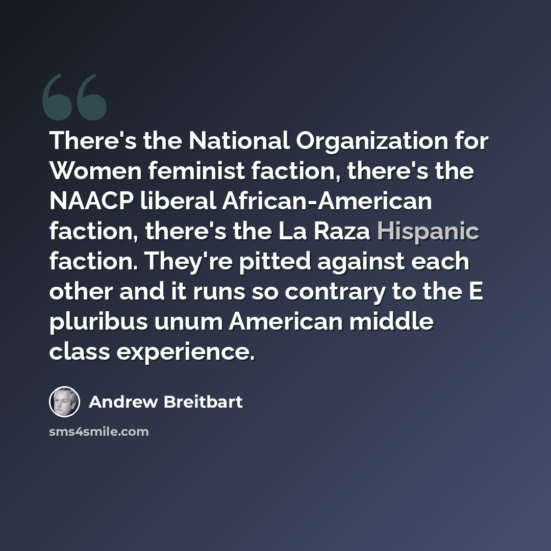 “There's the National Organization for Women feminist faction, there's the NAACP liberal African-American faction, there's the La Raza Hispanic faction. They're pitted against each other and it runs so contrary to the E pluribus unum American middle class experience.” quote by Andrew Breitbart