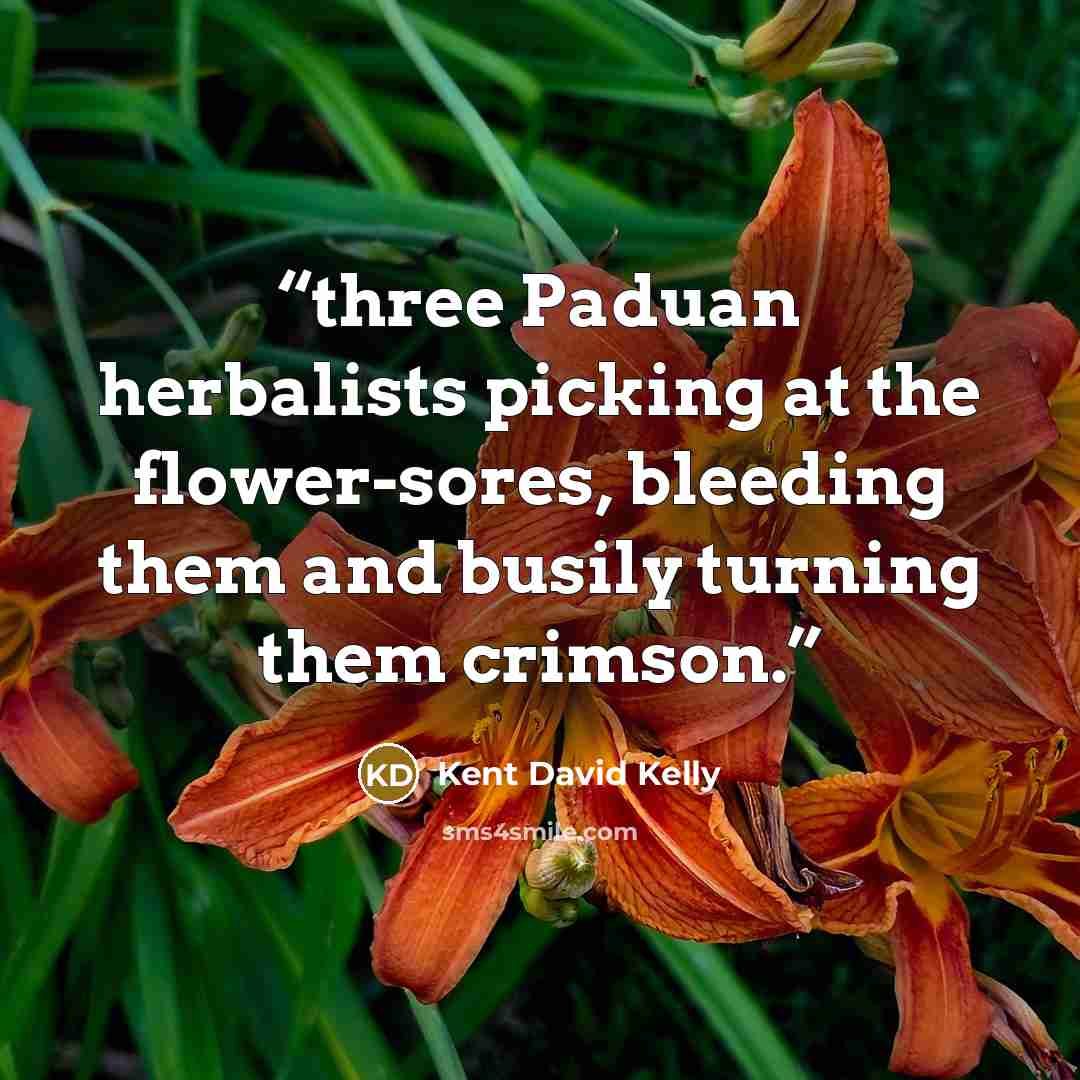 “three Paduan herbalists picking at the flower-sores, bleeding them and busily turning them crimson.” quote by Kent David Kelly