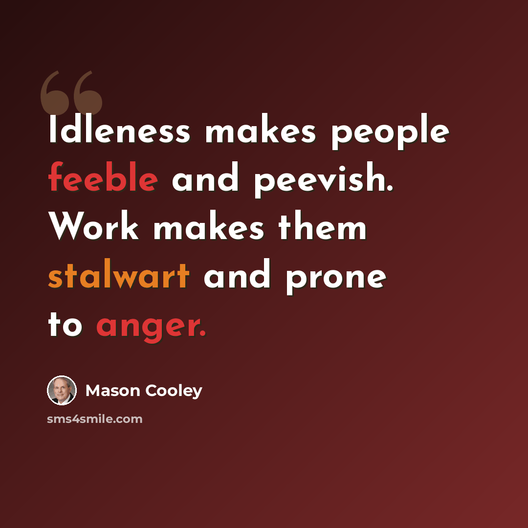 “Idleness makes people feeble and peevish. Work makes them stalwart and prone to anger.” quote by Mason Cooley