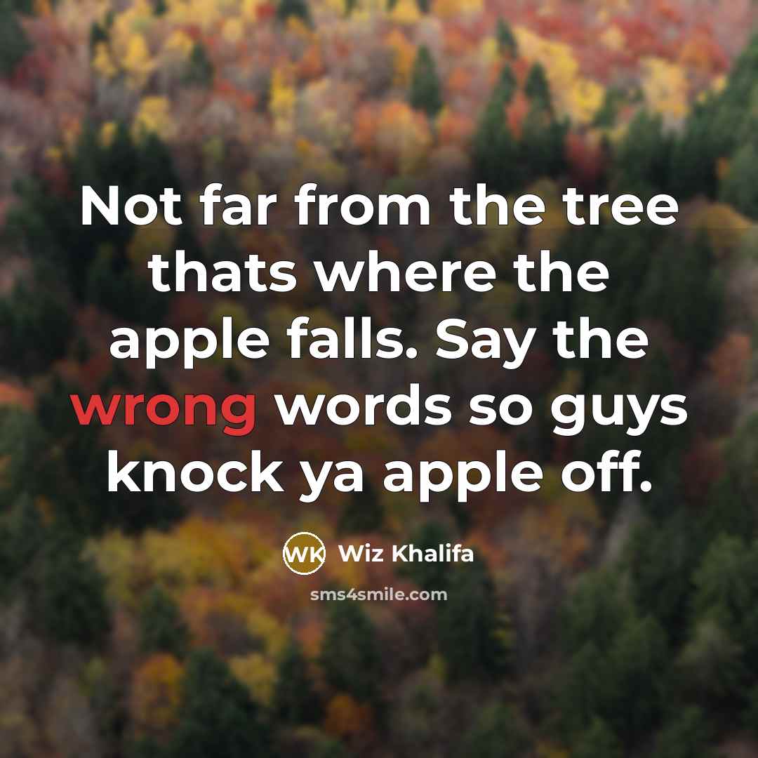 “Not far from the tree thats where the apple falls. Say the wrong words so guys knock ya apple off.” quote by Wiz Khalifa