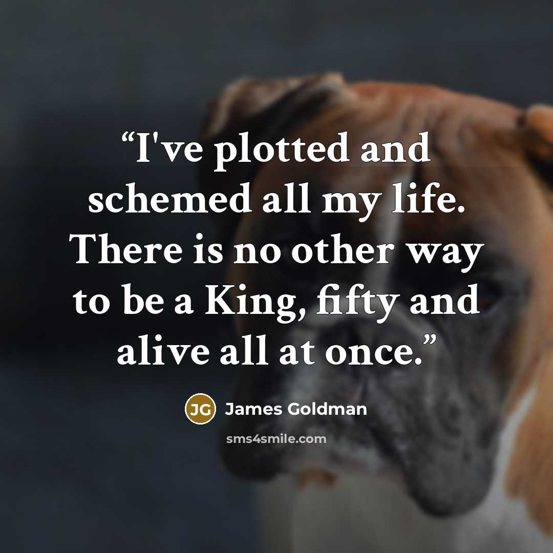 “I've plotted and schemed all my life. There is no other way to be a King, fifty and alive all at once.” quote by James Goldman