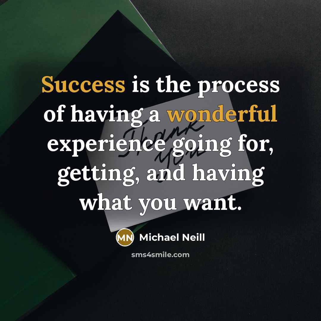 “Success is the process of having a wonderful experience going for, getting, and having what you want.” quote by Michael Neill