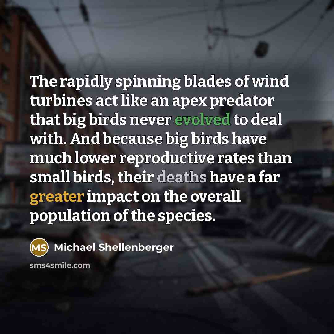 “The rapidly spinning blades of wind turbines act like an apex predator that big birds never evolved to deal with. And because big birds have much lower reproductive rates than small birds, their deaths have a far greater impact on the overall population of the species.” quote by Michael Shellenberger
