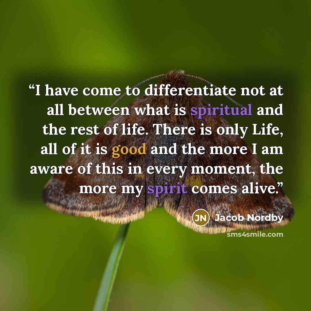 “I have come to differentiate not at all between what is spiritual and the rest of life. There is only Life, all of it is good and the more I am aware of this in every moment, the more my spirit comes alive.” quote by Jacob Nordby