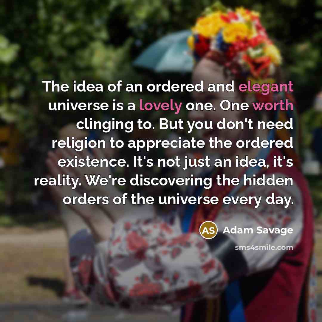 “The idea of an ordered and elegant universe is a lovely one. One worth clinging to. But you don't need religion to appreciate the ordered existence. It's not just an idea, it's reality. We're discovering the hidden orders of the universe every day.” quote by Adam Savage