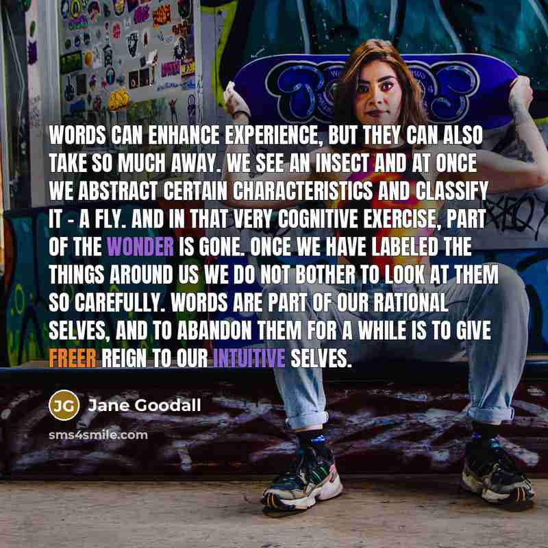 “Words can enhance experience, but they can also take so much away. We see an insect and at once we abstract certain characteristics and classify it - a fly. And in that very cognitive exercise, part of the wonder is gone. Once we have labeled the things around us we do not bother to look at them…” quote by Jane Goodall