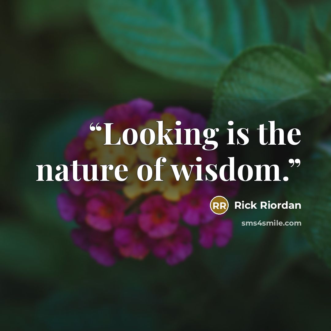 “Looking is the nature of wisdom.” quote by Rick Riordan
