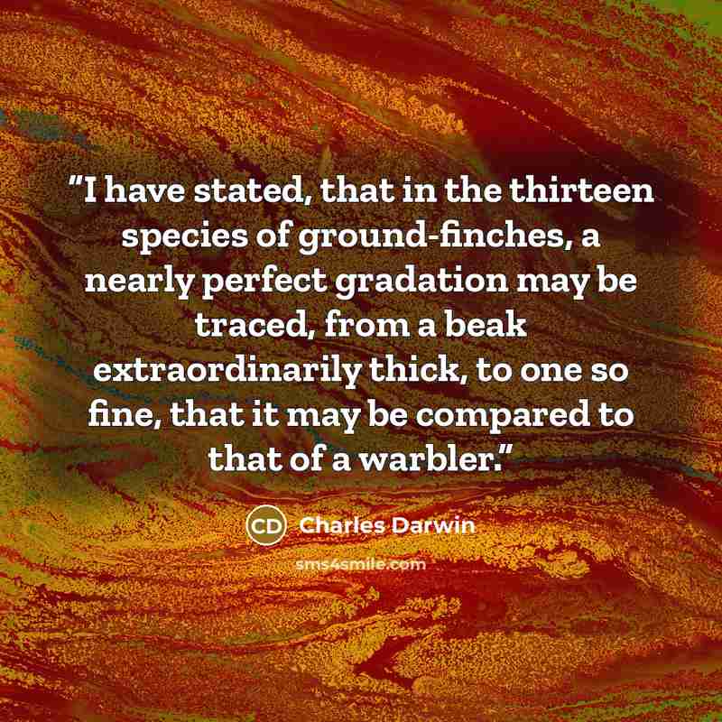“I have stated, that in the thirteen species of ground-finches, a nearly perfect gradation may be traced, from a beak extraordinarily thick, to one so fine, that it may be compared to that of a warbler.” quote by Charles Darwin