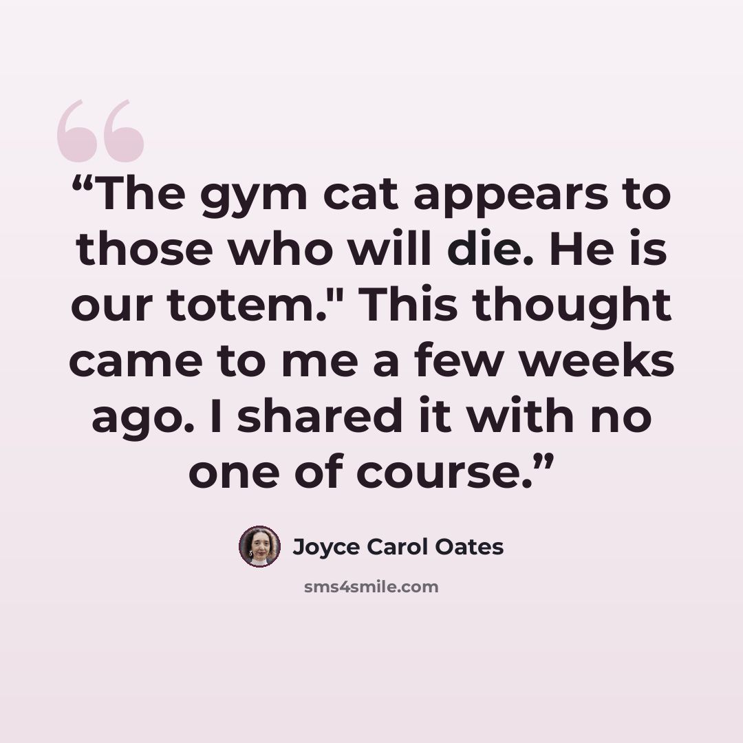 “The gym cat appears to those who will die. He is our totem." This thought came to me a few weeks ago. I shared it with no one of course.” quote by Joyce Carol Oates