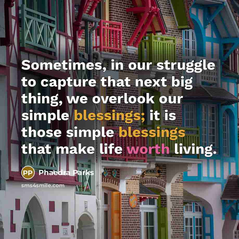 “Sometimes, in our struggle to capture that next big thing, we overlook our simple blessings; it is those simple blessings that make life worth living.” quote by Phaedra Parks