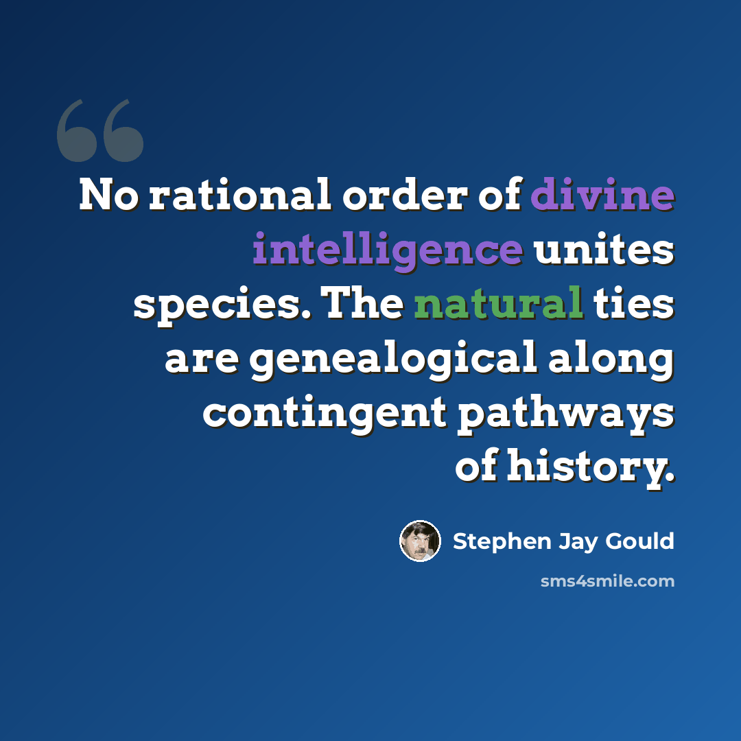 “No rational order of divine intelligence unites species. The natural ties are genealogical along contingent pathways of history.” quote by Stephen Jay Gould