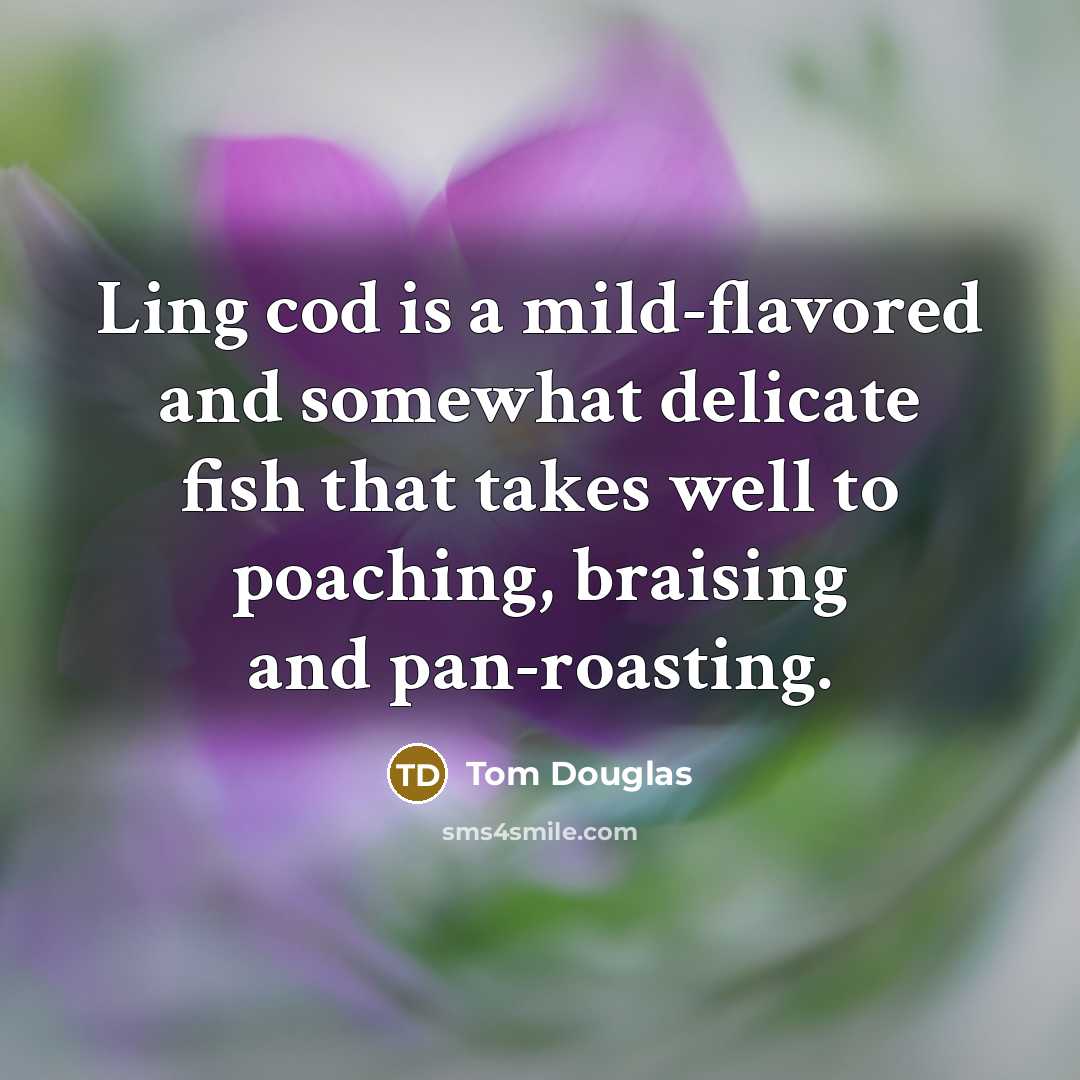 “Ling cod is a mild-flavored and somewhat delicate fish that takes well to poaching, braising and pan-roasting.” quote by Tom Douglas