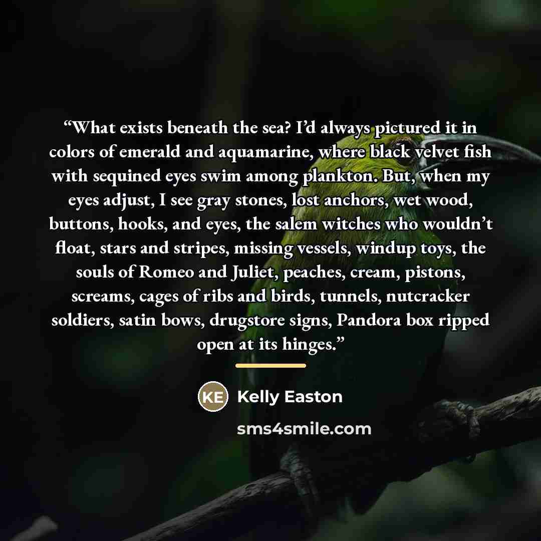 “What exists beneath the sea? I’d always pictured it in colors of emerald and aquamarine, where black velvet fish with sequined eyes swim among plankton. But, when my eyes adjust, I see gray stones, lost anchors, wet wood, buttons, hooks, and eyes, the salem witches who wouldn’t float, stars and…” quote by Kelly Easton