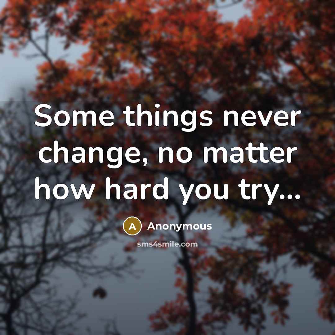 “Some things never change, no matter how hard you try...” quote by Anonymous