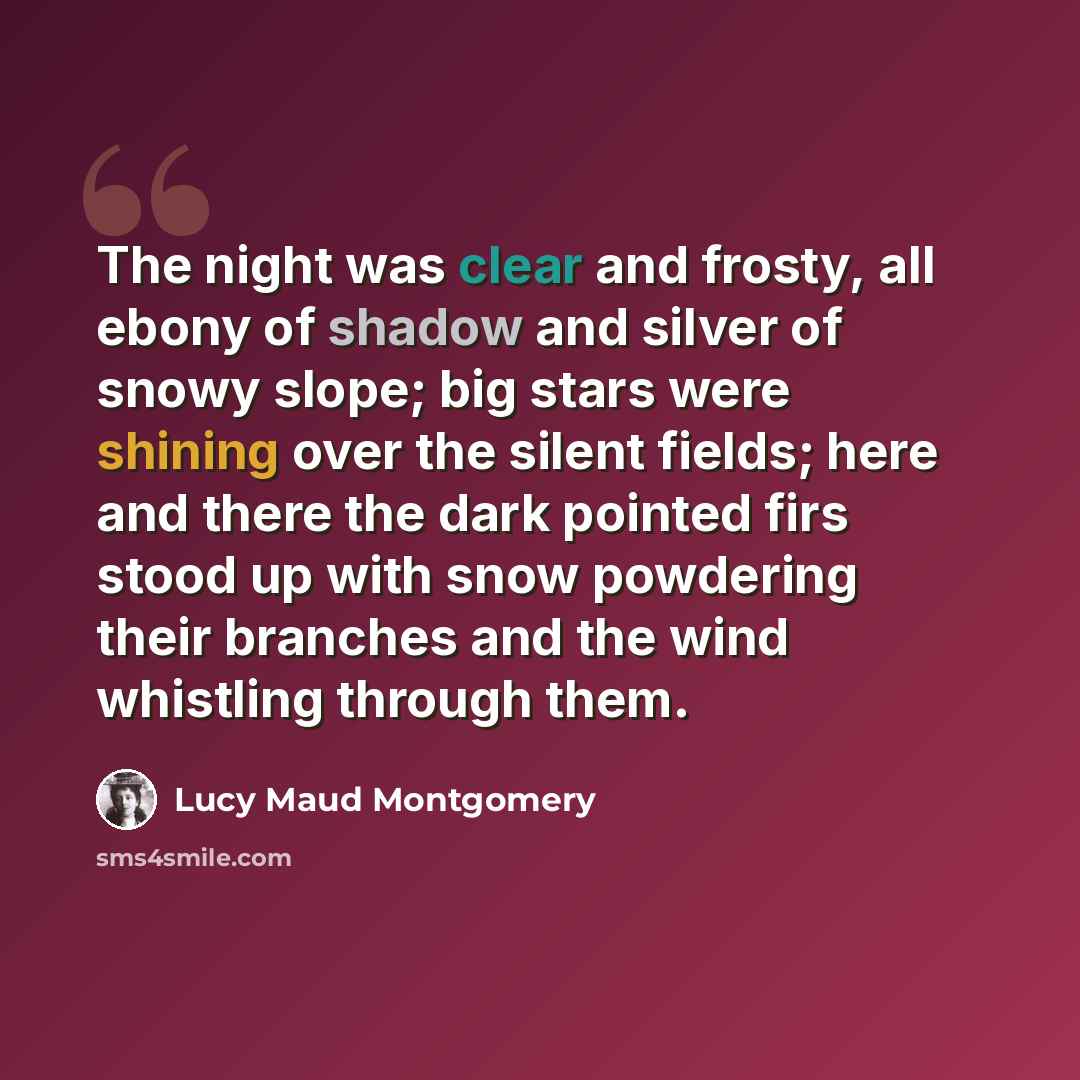 “The night was clear and frosty, all ebony of shadow and silver of snowy slope; big stars were shining over the silent fields; here and there the dark pointed firs stood up with snow powdering their branches and the wind whistling through them.” quote by Lucy Maud Montgomery
