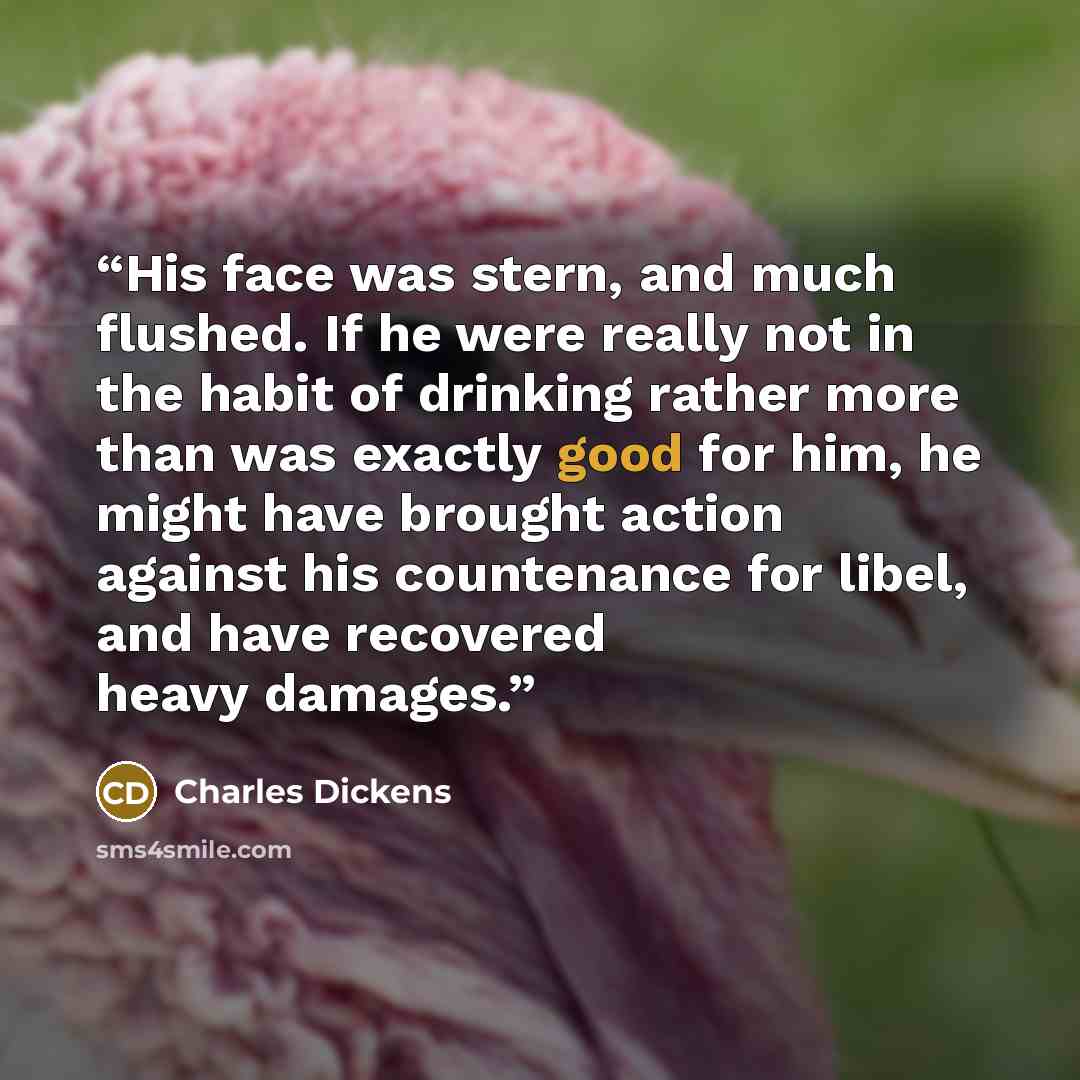 “His face was stern, and much flushed. If he were really not in the habit of drinking rather more than was exactly good for him, he might have brought action against his countenance for libel, and have recovered heavy damages.” quote by Charles Dickens
