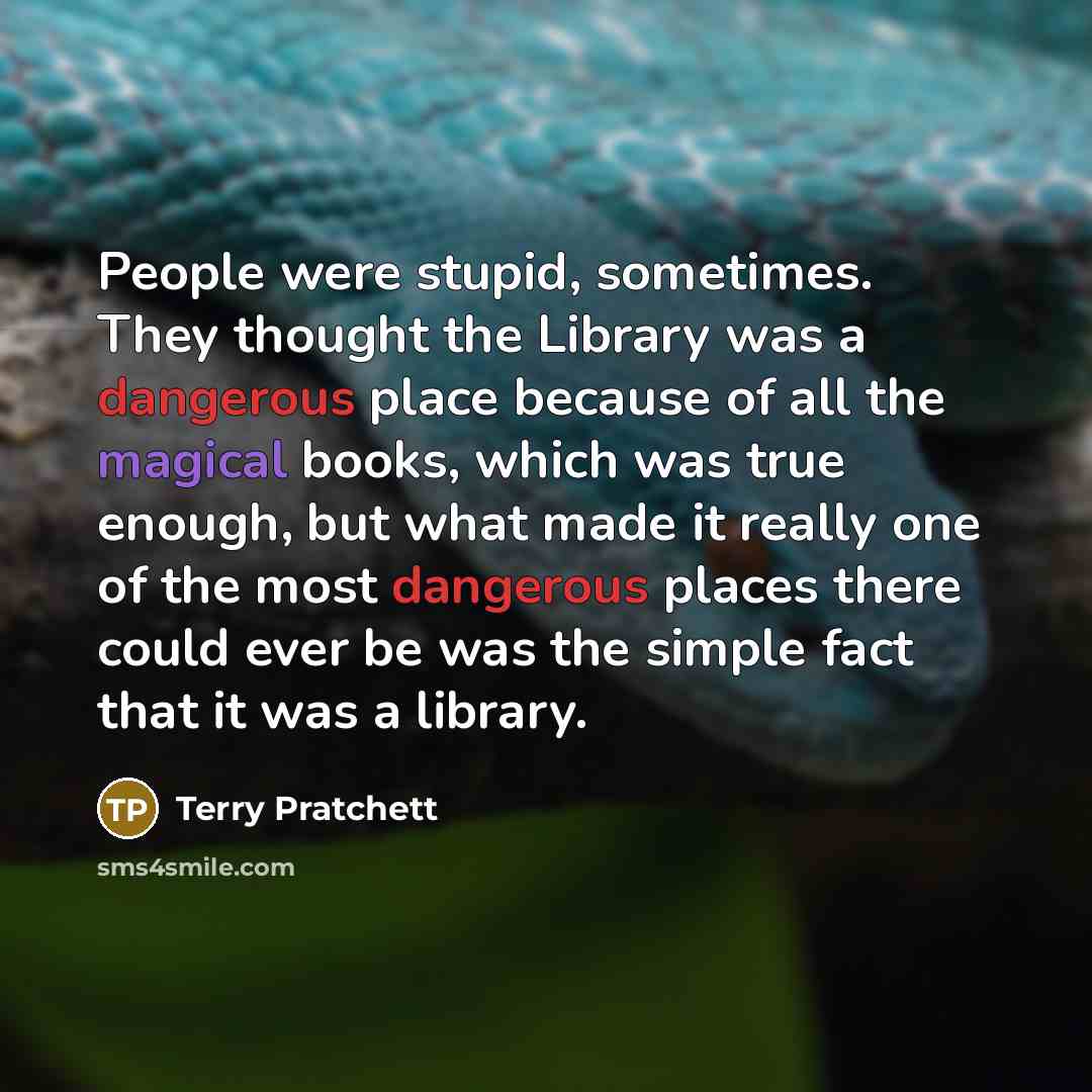 “People were stupid, sometimes. They thought the Library was a dangerous place because of all the magical books, which was true enough, but what made it really one of the most dangerous places there could ever be was the simple fact that it was a library.” quote by Terry Pratchett