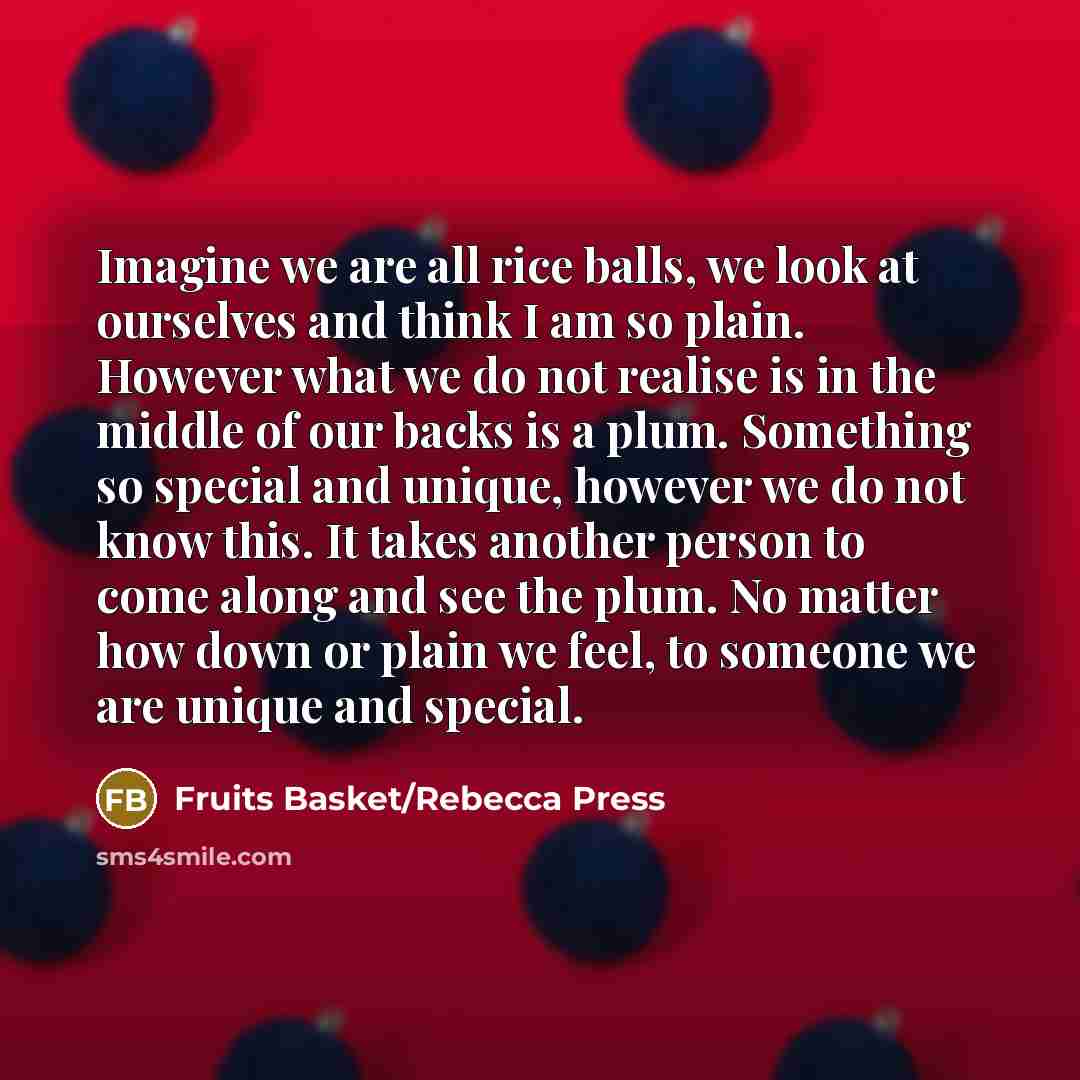 “Imagine we are all rice balls, we look at ourselves and think I am so plain. However what we do not realise is in the middle of our backs is a plum. Something so special and unique, however we do not know this. It takes another person to come along and see the plum. No matter how down or plain we…” quote by Fruits Basket/Rebecca Press