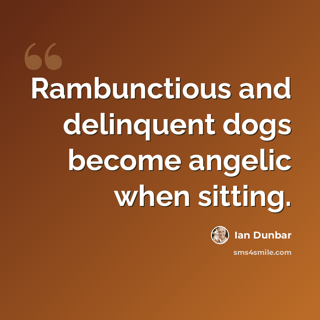 “Rambunctious and delinquent dogs become angelic when sitting.” quote by Ian Dunbar