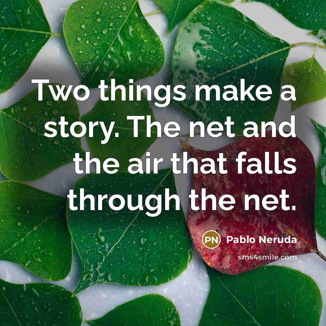 “Two things make a story. The net and the air that falls through the net.” quote by Pablo Neruda
