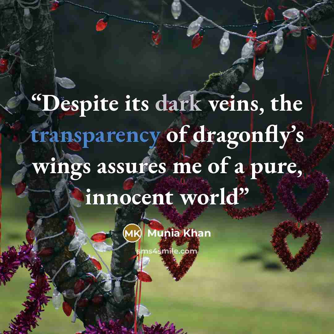 “Despite its dark veins, the transparency of dragonfly’s wings assures me of a pure, innocent world” quote by Munia Khan