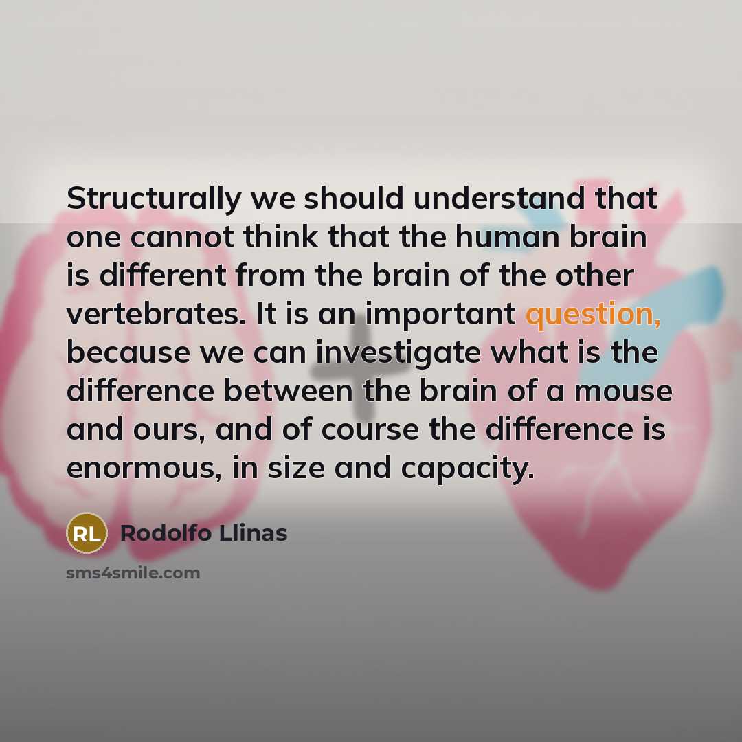 “Structurally we should understand that one cannot think that the human brain is different from the brain of the other vertebrates. It is an important question, because we can investigate what is the difference between the brain of a mouse and ours, and of course the difference is enormous, in size…” quote by Rodolfo Llinas