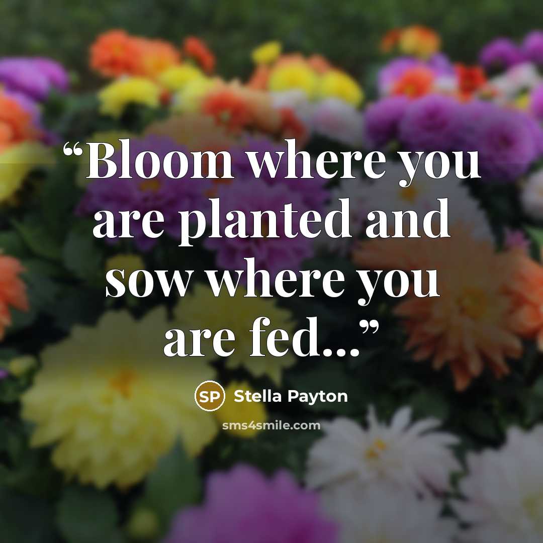 “Bloom where you are planted and sow where you are fed...” quote by Stella Payton