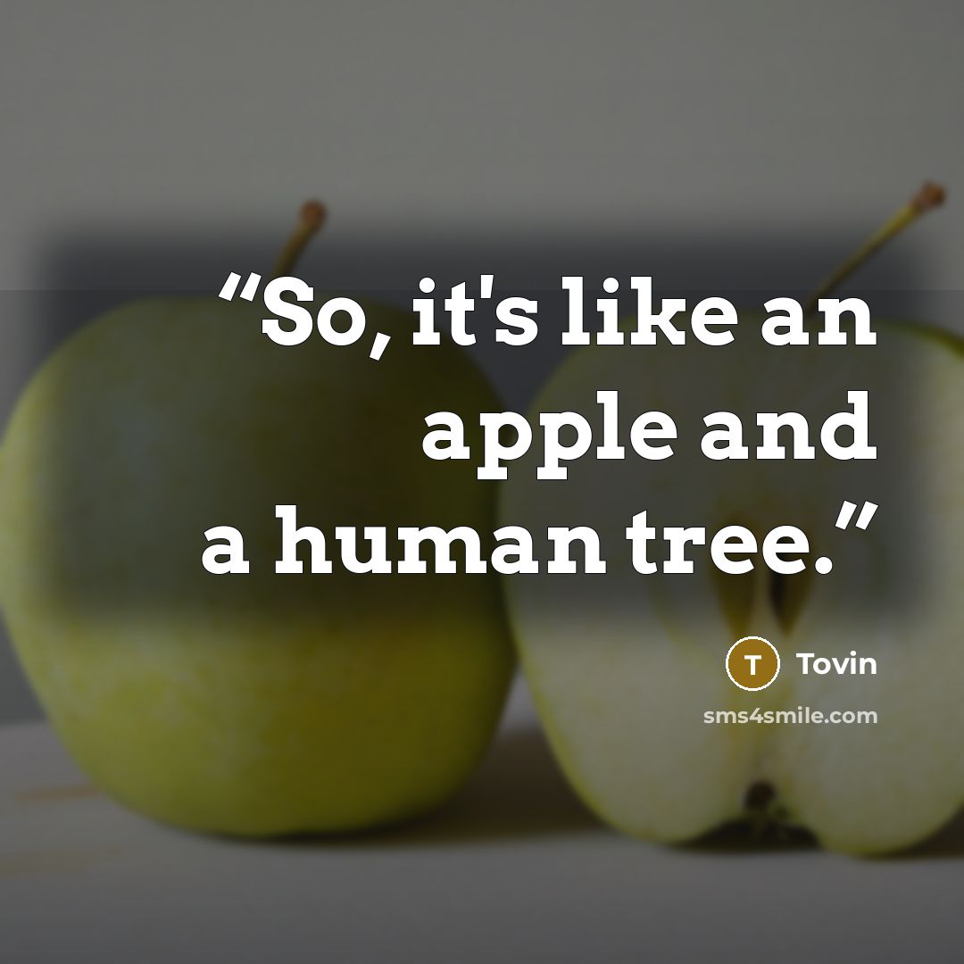 “So, it's like an apple and a human tree.” quote by Tovin