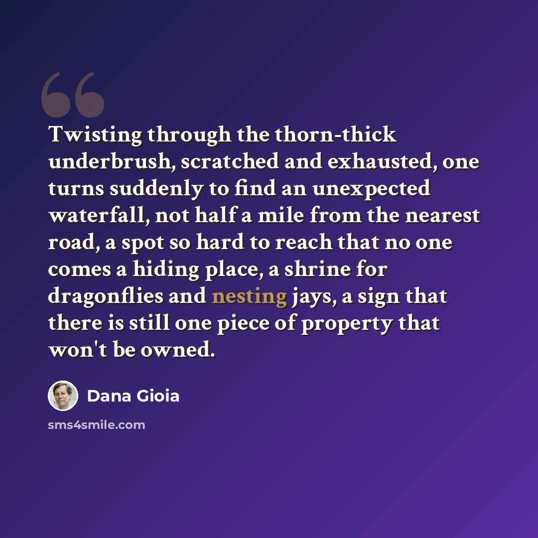 “Twisting through the thorn-thick underbrush, scratched and exhausted, one turns suddenly to find an unexpected waterfall, not half a mile from the nearest road, a spot so hard to reach that no one comes a hiding place, a shrine for dragonflies and nesting jays, a sign that there is still one piece…” quote by Dana Gioia
